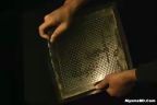ওয়ালপেপার ক্যামেরা !