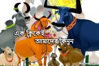 আজমত সাহেবের ডিজিটাল গরু কেনা