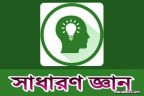 সাধারণ জ্ঞান : বাংলা সাহিত্যে যা কিছু প্রথম (২য় পর্ব)