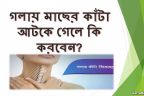 গলায় বিঁধেছে মাছের কাঁটা? জেনে নিন কাঁটা নামানোর ৭টি কৌশল